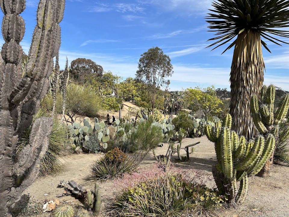 Desert Garden